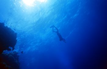 Freediving in the red sea (Safaga) by Fabrice Desré 